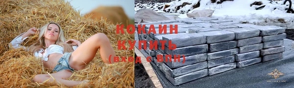 кокс Арсеньев