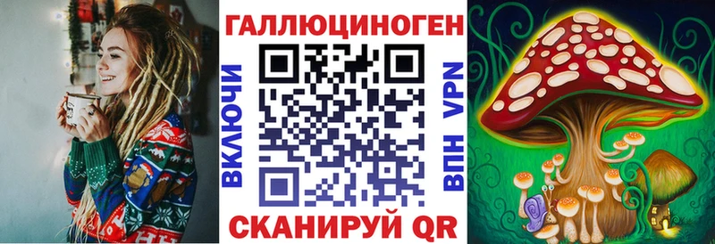 Псилоцибиновые грибы Psilocybine cubensis Покровск