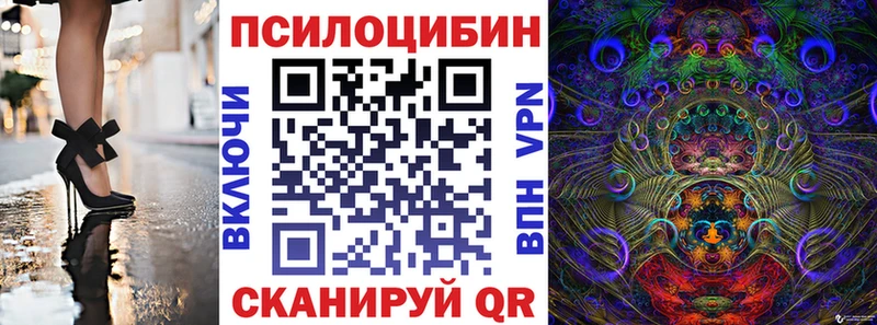 Псилоцибиновые грибы Psilocybine cubensis ОМГ ОМГ как зайти Покровск как найти